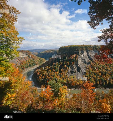 The Genesee River Flows Through Curving Gorge With Autumn Colour In