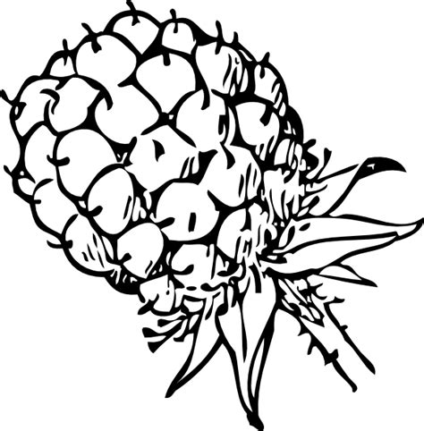 Download Blackberry Clip Art at Clker.com - vector clip art online ...