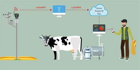 Iot Dan Smart Livestock Farming Untuk Tingkatkan Efisiensi Usaha