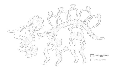 Dragonbones is a 2d game animation and righ media content creative platform for designer. 3D DINOSAUR SKELETON PEN HOLDER PUZZLE | Dinosaur bones ...