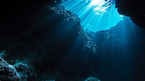 Deep sea communities — giant tubeworm deep sea communities currently remain largely unexplored, due the technological and logististical challenges and expense involved in visiting these remote biomes. The Deep Sea | Angie's Diary