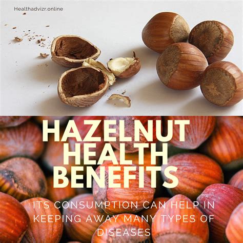 Hazelnut Health Benefits Hazel Nuts Benefits Benefits Of Hazelnuts