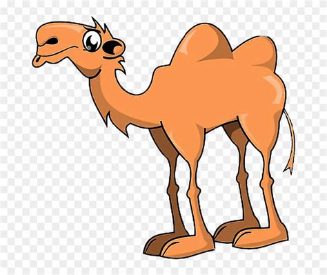 Camel clipart camels cartoon clip art hump day cute colorful rainbow wild animal life mammal desert digital png graphic commercial use. Animals Camel Hump Humpday Freetoedit - Camel Two Humps ...