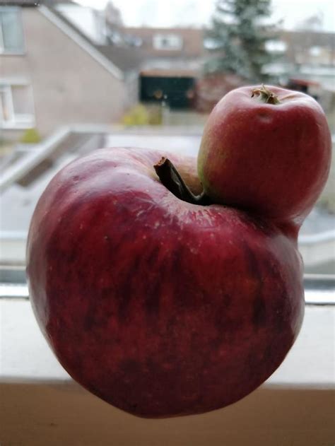 Photos Of The Strangest Biggest Fruit And Veg