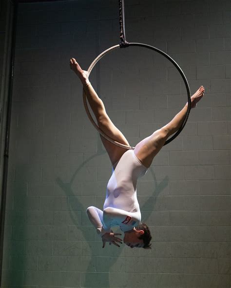 adult classes — upswing aerial dance company