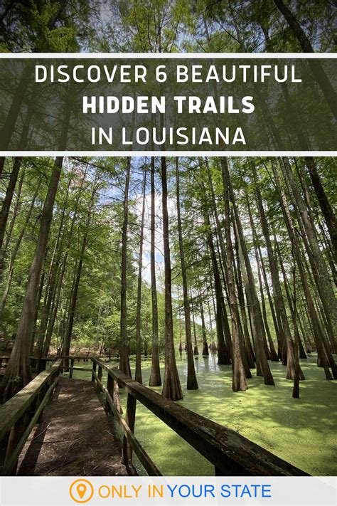 Youll Be Hooked After A Day Spent Exploring These 6 Hidden Trails In