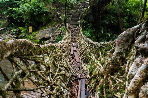 Nongriat And The Living Root Bridges Of Meghalaya Lost With Purpose