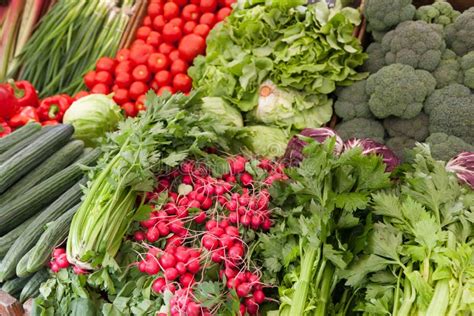 Fresh Vegetables Stock Photo Image Of Green Vegetables 25826484