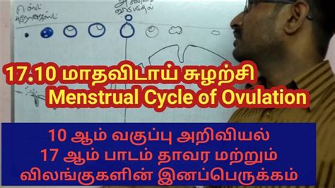 10th Std Science மாதவிடாய் சுழற்சி Menstrual Cycle Youtube