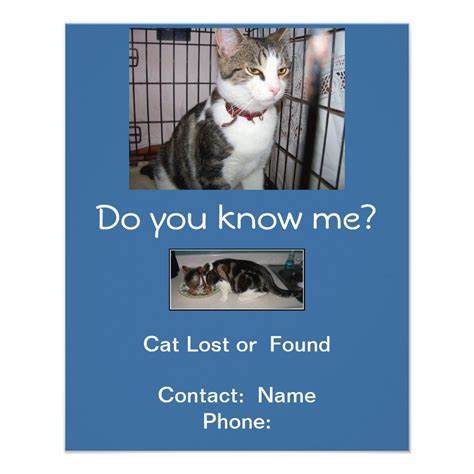 Found Cat Pin Ads Custom Flyers Go Outdoors Lost And Found Cat