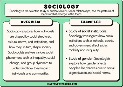 25 Sociology Examples 2024