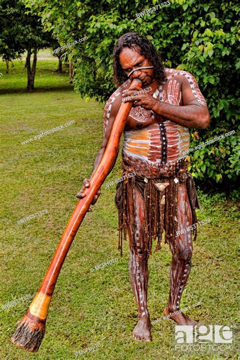 Aboriginal Man With Traditional Body Painting Playing Didgeridoo