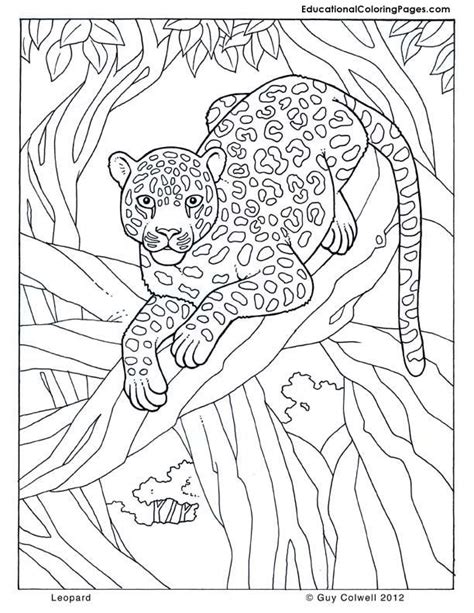 Jungle coloring sheets 102ndfighterwing com. Pin on Coloring Pages