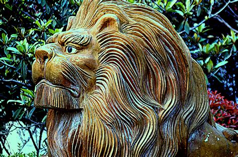 The trail is primarily used for hiking and nature trips. Lions Head Free Stock Photo - Public Domain Pictures