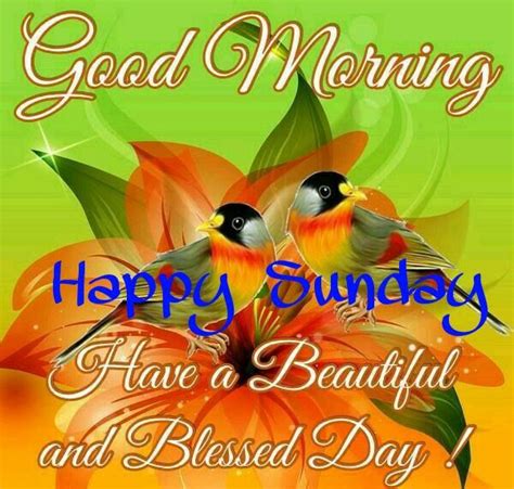 Good Morning Happy Sunday Have A Beautiful Blessed Day Pictures Photos