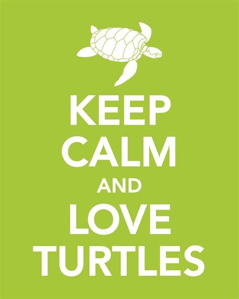 Keep Calm And Love Turtles Print