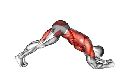 Plank To Pike Ultimate Video Exercise Guide And Tips