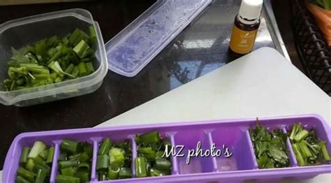 Kemas susun atur barangan dalam peti sejuk macam mana. Cara Simpan Daun Sup Lebih Unik Jika Mahu Tahan Lebih Lama ...