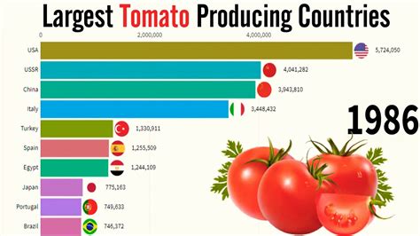 World Largest Tomato Producing Countries In The World 1985 2020 Top