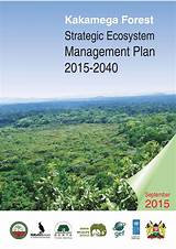 Forest Ecosystem Management Photos