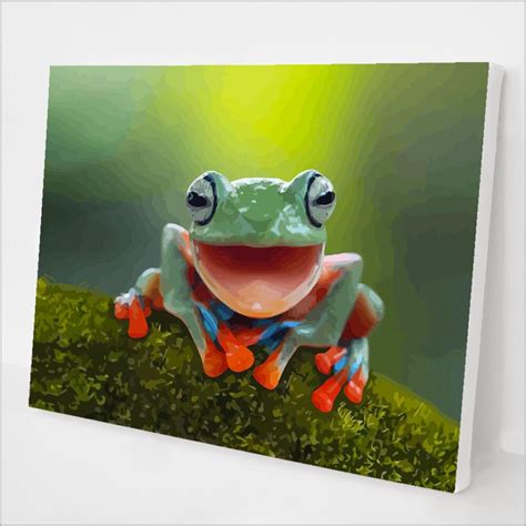 Happy Frog Kit Paint Plot Australia