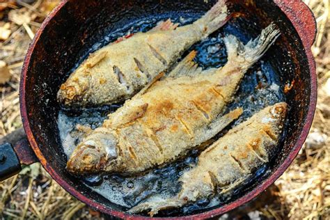 River Fish Fried In A Frying Pan Stock Image Image Of Healthy Cook