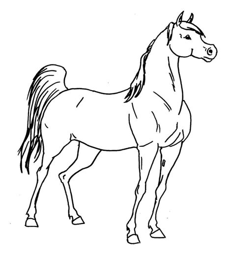 Horse drawing line vector design. Thoroughbred Arabian LineArt V by ElanortheFair on DeviantArt