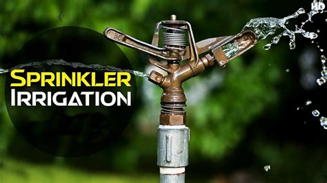 Check spelling or type a new query. Sprinkler Irrigation System - How Does It Works ...