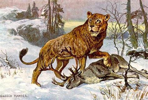 Facts And Figures About The Cave Lion