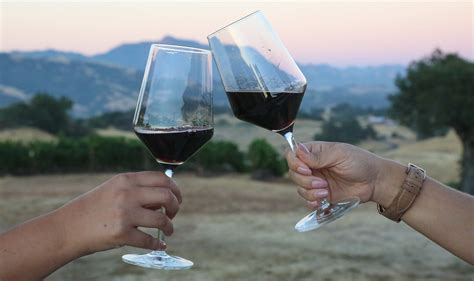 Healdsburg Wineries With A View Best Sonoma Wineries Wine Tasting