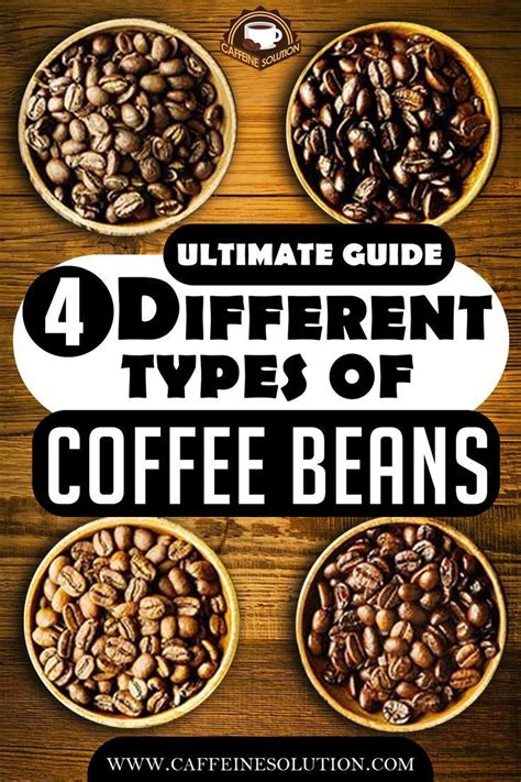 The Ultimate Guide To The 4 Different Types Of Coffee Beans Types Of