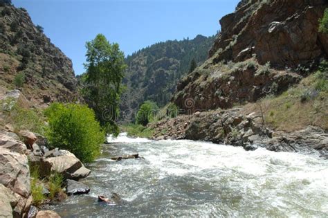 Colorado Mountain Stream 5 Stock Image Image Of Fish 5603983