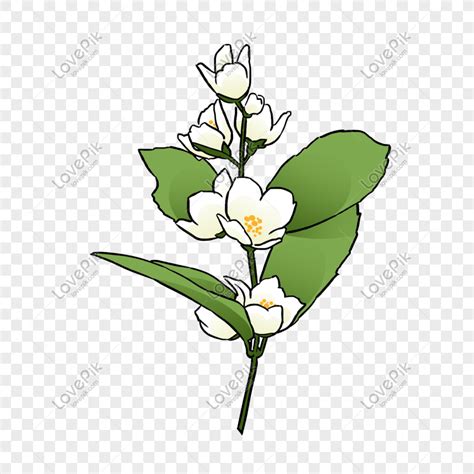 Gambar Bunga Melati Putih Kartun Adzka
