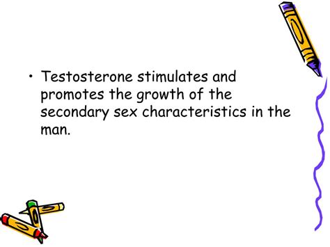 Ppt The Reproductive System Powerpoint Presentation Id295641