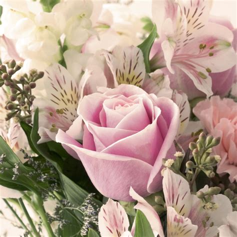 We did not find results for: Pastel Flower Wallpapers - Top Free Pastel Flower ...