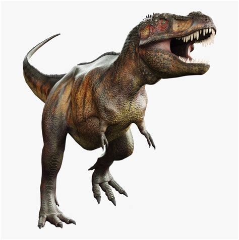 Tyrannosaurus rex was a large carnivore; Tyrannosaurus Rex Png - Transparent Tyrannosaurus Rex Png ...