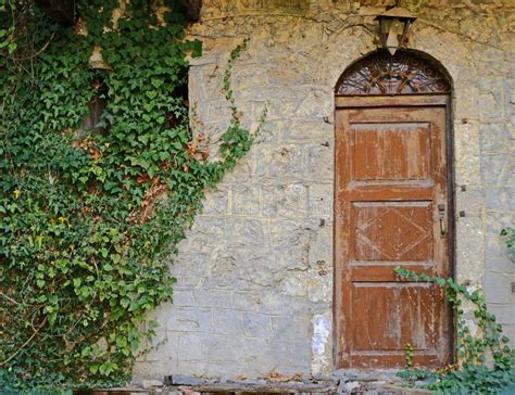 Vintage Brown Arched Door On Stone Wall And Ivy Foliage Stock Image