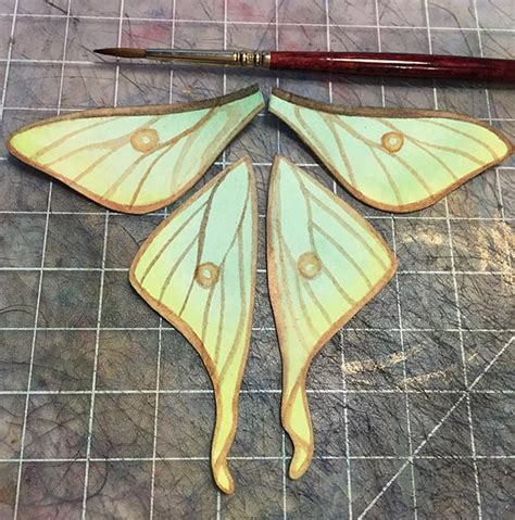Paper Moth Tutorial — K A K Lecky Illustration