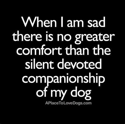 Sad Dog Quotes Quotesgram