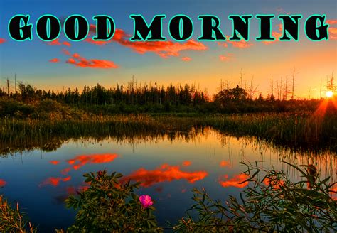 Good Morning Nature Wallpaper Pictures Images Download Full Hd