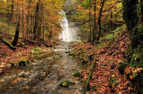 Waterfall River Fall Forest Trees Nature Autumn Autumn Forest Fall