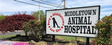 Learn More About Us Animal Hospital In Middletown Nj