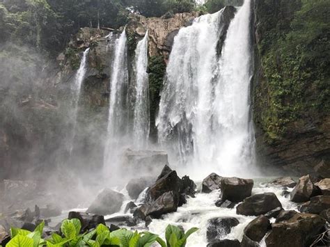 Nauyaca Waterfalls Horseback Riding Tours Dominical 2019 All You