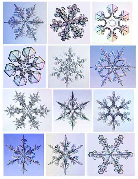 Snowflakes Crystalinks