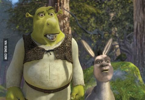 Do I Really Have To Say Something Shrek Funny Shrek Shrek Memes