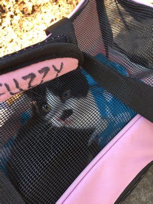 68 animal jobs available in tallahassee, fl on indeed.com. Animal Shelter - 17 Photos & 10 Reviews - Animal Shelters ...
