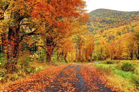 fall foliage in north america columbia blog