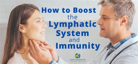 How To Boost The Lymphatic System And Immunity Dody Chiropractic