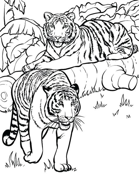 Realistic Wild Animal Coloring Pages At Free