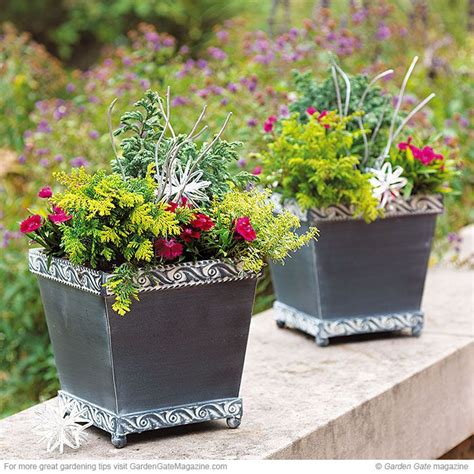Winter Container Container Gardening Winter Container Gardening